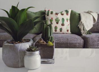 Decorate Your Space Individually With Wayfair's Collection of Home Goods