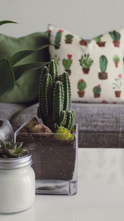 The Best Products From Wayfair to Get Your Home Cozy