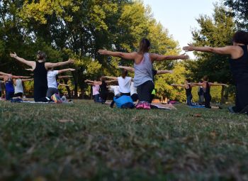 Learn Fundamentals Of Yoga at ISSA US